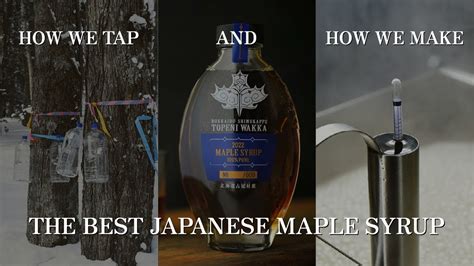 Savoring the Unique and Delicate Flavors of Japanese Maple Syrup, Enhanced by Corql Magic
